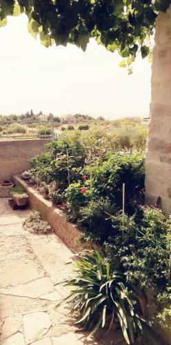 Holiday Home Burba