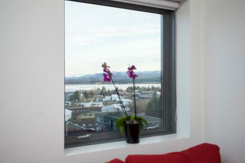 Blue Mountain Apartments