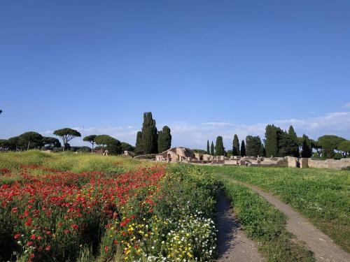 Le Cicale
