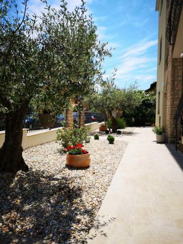 Apartments Ana