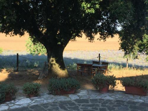 B&B Il Soffio Di Eolo