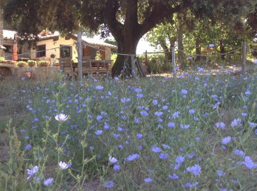 B&B Il Soffio Di Eolo