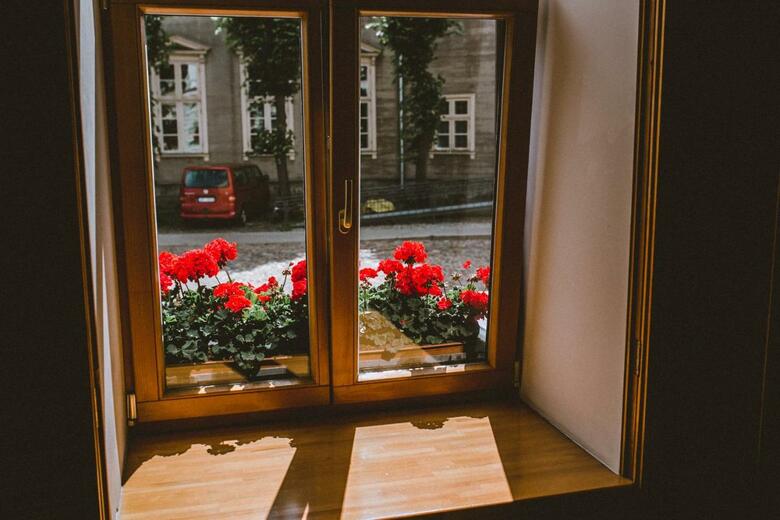 Hotel Hanza