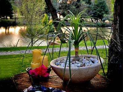Hotel Casa De Aves
