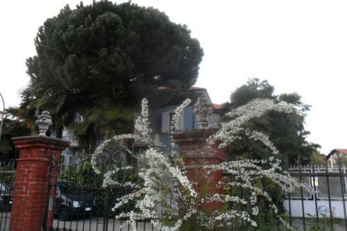 B&B Il Passito Caluso