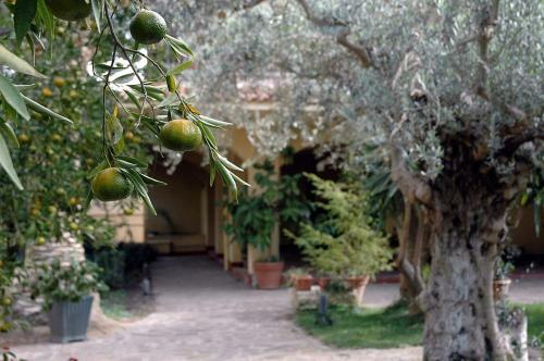 Al Vecchio Pozzo