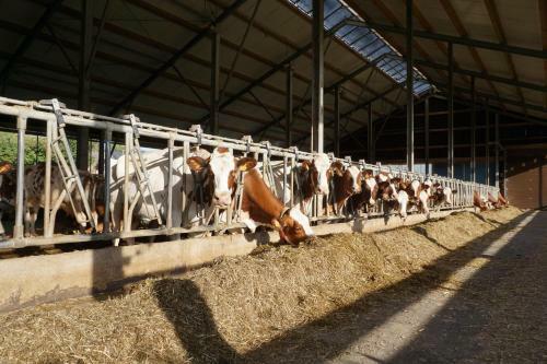 Agroturismo Fermeaust