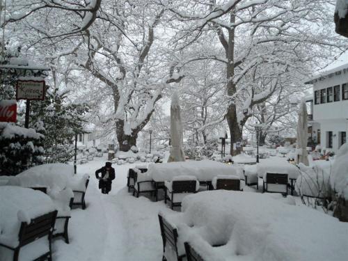 Hotel Filoxenia