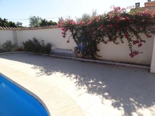 Villa San Fulgencio 1