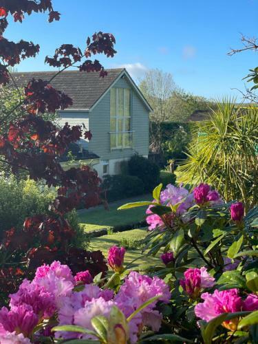 Bed & Breakfast Westwaterhead