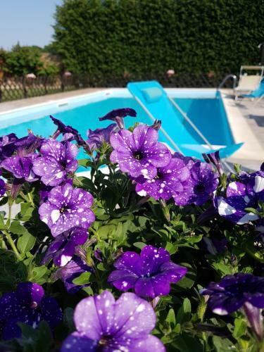 B&B Villa Carpe Diem