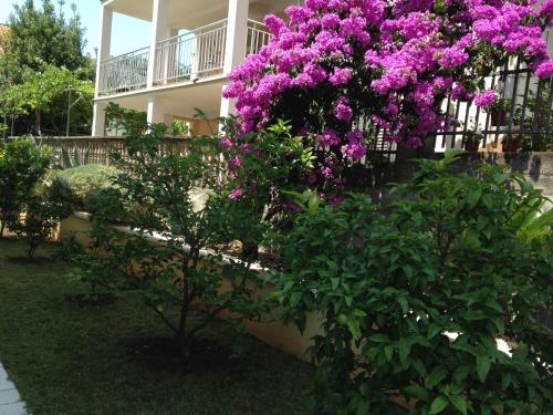 Budva Holiday Home
