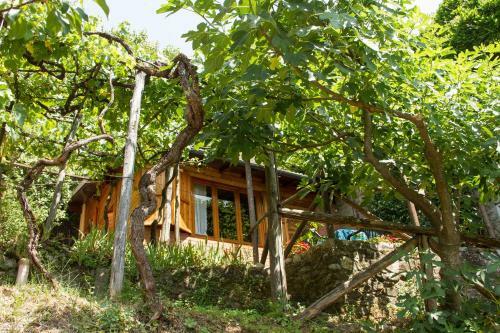 Hostal Chalet With Pool And View On The Olive Groove