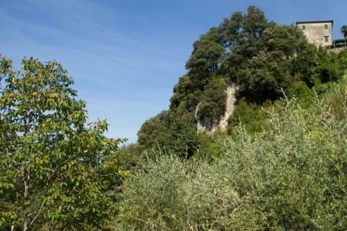Hostal Chalet With Pool And View On The Olive Groove