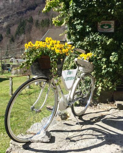 B&B L'edera