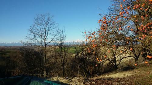 Bed & Breakfast Cascina Torello
