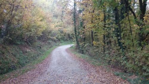 Bed & Breakfast Cascina Torello