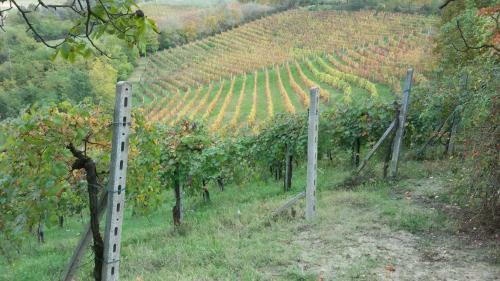 Bed & Breakfast Cascina Torello