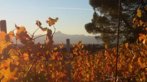 Bed & Breakfast Cascina Torello