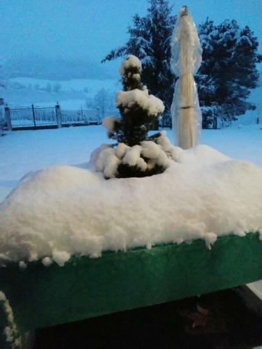 Bed & Breakfast Cascina Torello