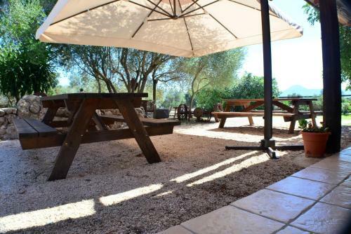 Bed & Breakfast Pira Pinta