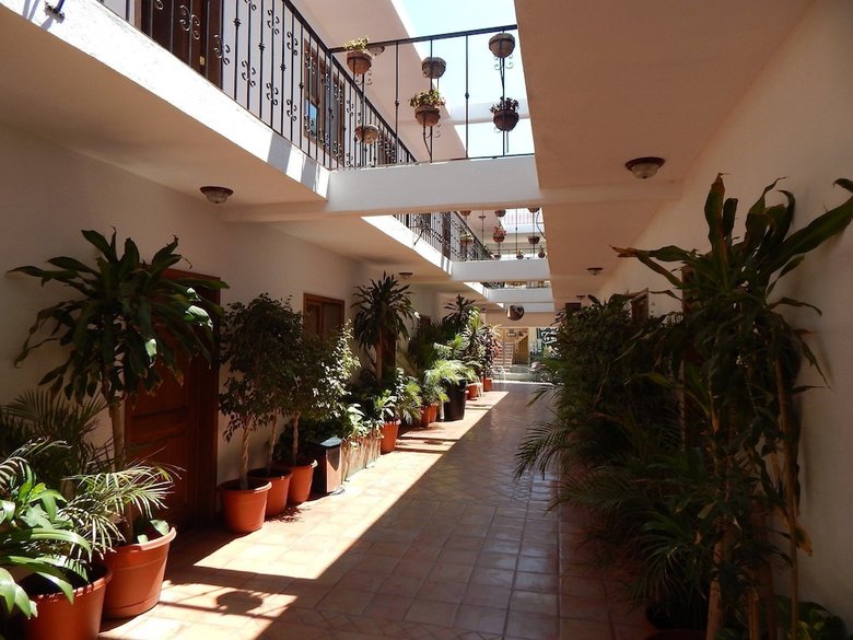 Cabo Cush Hotel