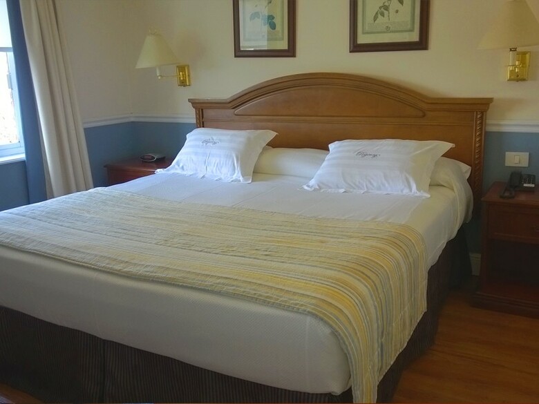 Hotel Regency Suites