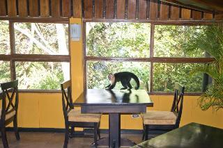 Monteverde Lodge & Gardens