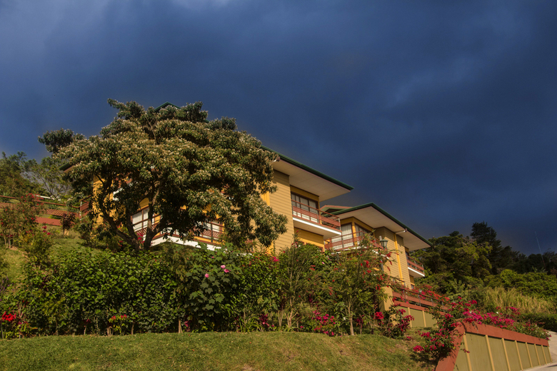 Hotel Ficus