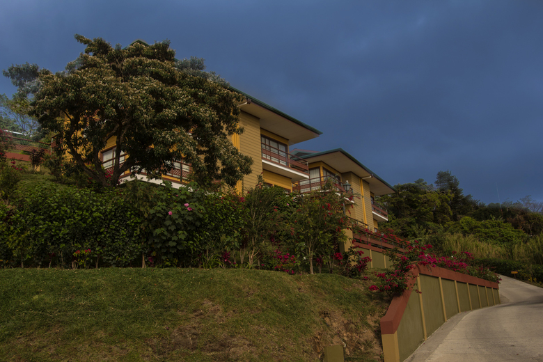 Hotel Ficus