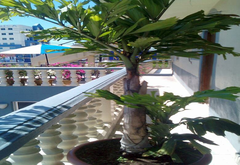 Hotel Mazatlan