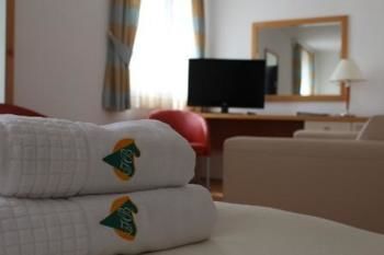 Hotel Borovnik