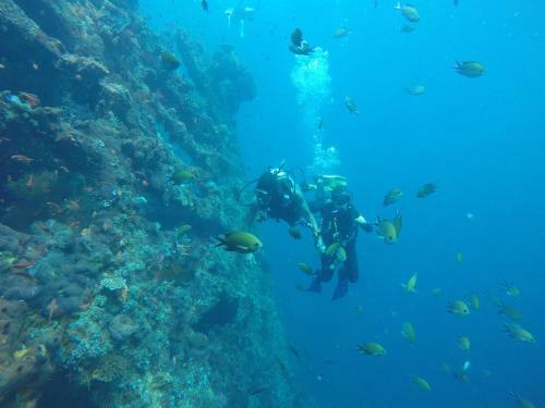 Hotel Ocean View Dive Resort Tulamben