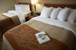 Hotel Comfort Inn Brossard