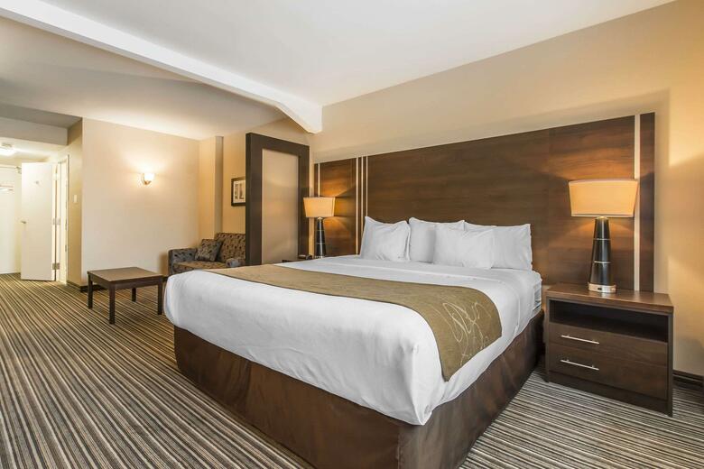 Hotel Comfort Suites Downtown
