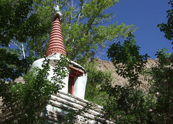 Mystique Meadows Camp