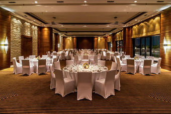 Hotel Hyatt Raipur