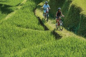 Hotel Four Seasons Resort Bali At S