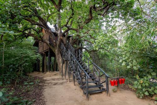 Hotel Tree House Hideaway