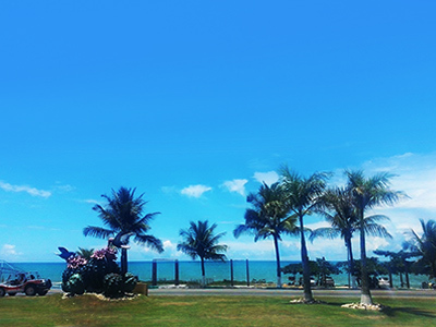 Hotel Brisa Da Praia
