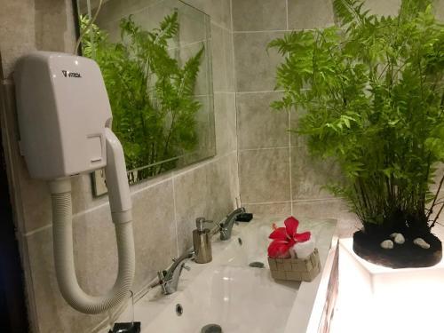 Bed & Breakfast Eden Paradise Spa Ecolodge