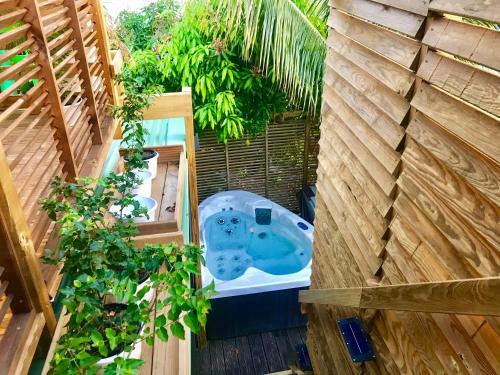Bed & Breakfast Eden Paradise Spa Ecolodge