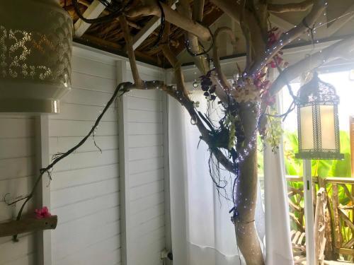 Bed & Breakfast Eden Paradise Spa Ecolodge