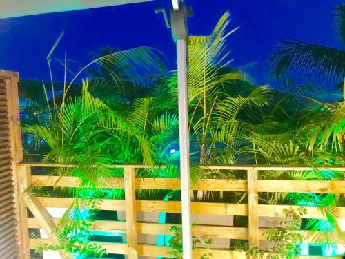 Bed & Breakfast Eden Paradise Spa Ecolodge