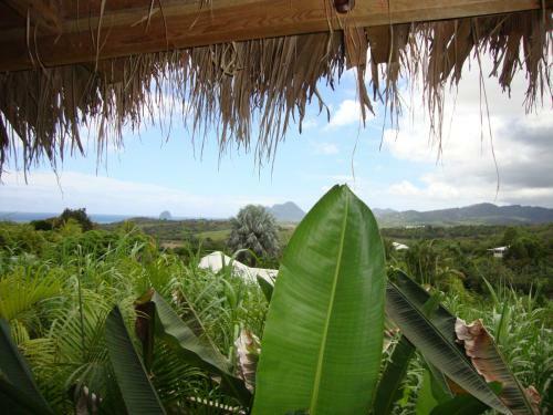 Bed & Breakfast Eden Paradise Spa Ecolodge