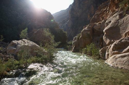Ma'in Hot Springs