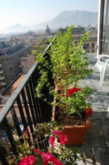 Hotel Libert�