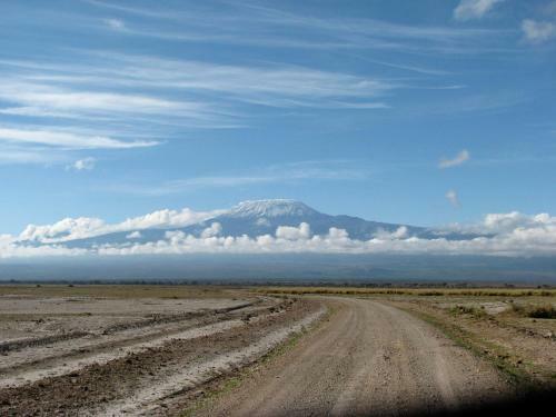 Maasai Simba Camp