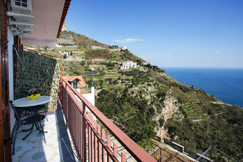Holidays Fico D'india