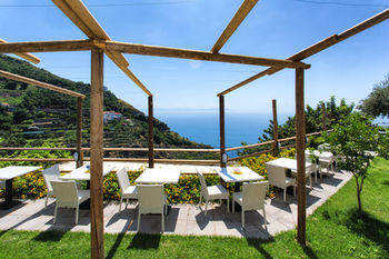 Holidays Fico D'india